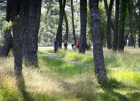 Camping Siblu les Embruns Funpass inclus, 4* - 29