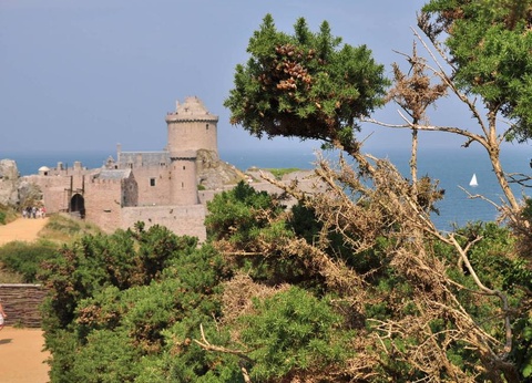 Camping La Touesse 4* - 52