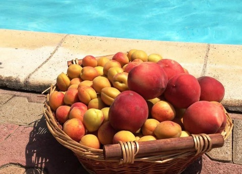 Camping La Garenne, 3* - 45