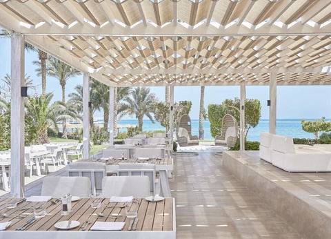 Combiné Déesses du Nil et Pure Life (adult only) - 22