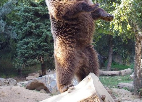 Camping Ecovillage Le Soleil Du Pibeste, 4* - 41