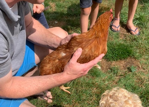 Camping Sites et Paysages Le Vaubarlet 4* - 21