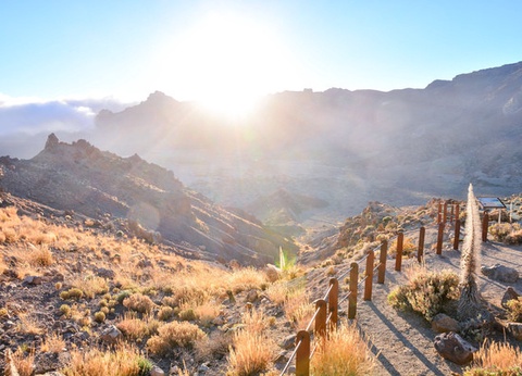 Circuit Randonnée entre océan et Teide, logement au Club Jumbo Bluesea Puerto Resort 3* - 14