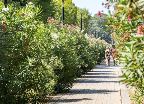 Camping Villaggio San Francesco Caorle, 5* - 10