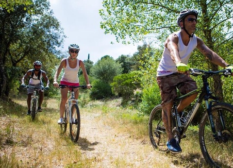 Domaine De La Bergerie, 5* - 58