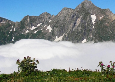 Camping Les 4 Saisons, 3* - 39