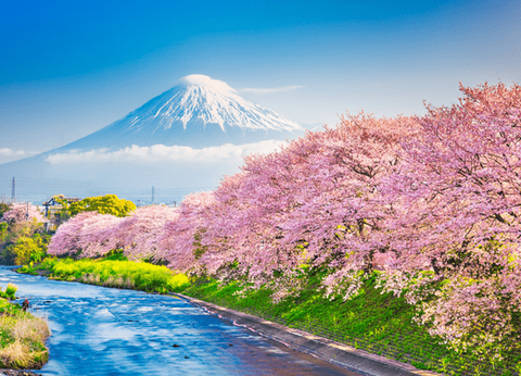 Circuit Merveilles Nippones et Tokyo à sa guise - 13