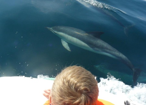 Flower Camping le Kergariou, 3* - 87