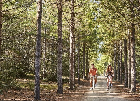 Camping Les Genêts, 5* - 65