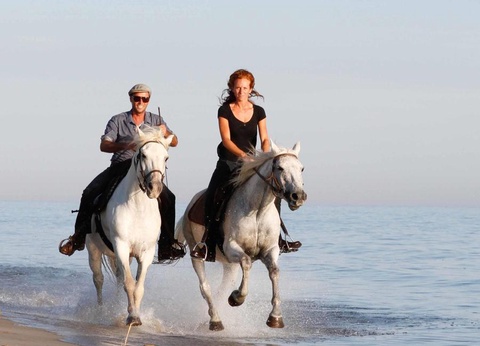 Camping Abri de Camargue, 4* - 90