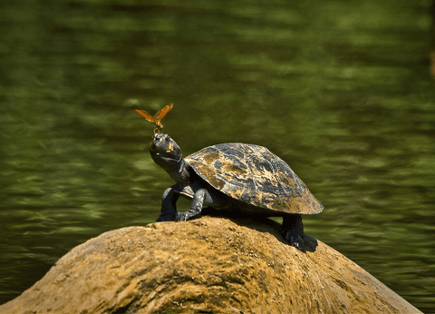 Circuit Equateur Authentique - 3