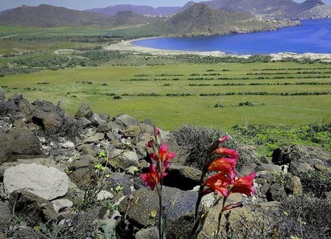 Camping Los Escullos de San José - 28