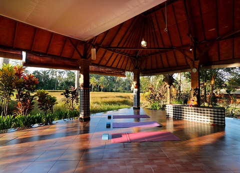 Circuit Bien-Être à Bali en Privatif - 15
