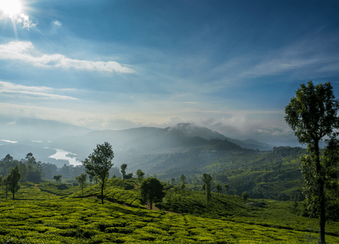 Circuit Merveilles du Kerala en Privatif - 27