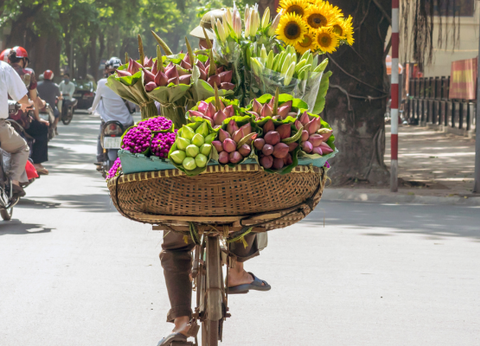 Circuit Lotus du Vietnam en mini groupe - 3