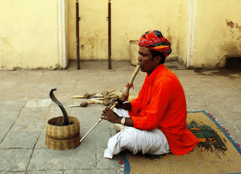 Circuit Charmes de l'Inde du Sud - 4