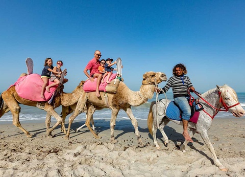 Club Marmara Palm Beach Djerba 4* - 31