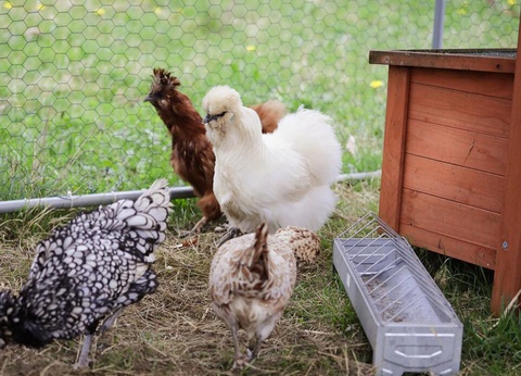 Camping Le Florenville, 3* - 53