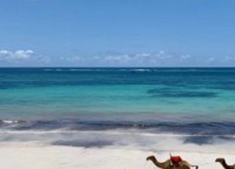 Circuit Punda Milia - De Nairobi A Mombasa - 10