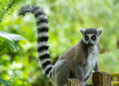 Circuit Splendeurs de Madagascar - 20