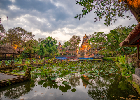 Combiné Rizières et Plage sur l'île des Dieux - 11