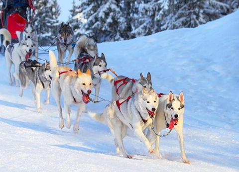 Hôtel Levi Spa (activités incluses) - 8