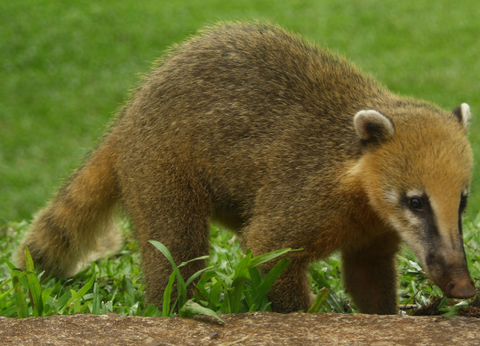 Circuit Rythmes du Sud : de Buenos Aires à Rio de Janeiro - 10