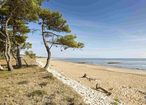 Camping Parfums d'Eté 4* - 47