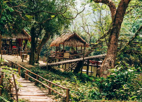 Circuit Lotus du Laos - 14