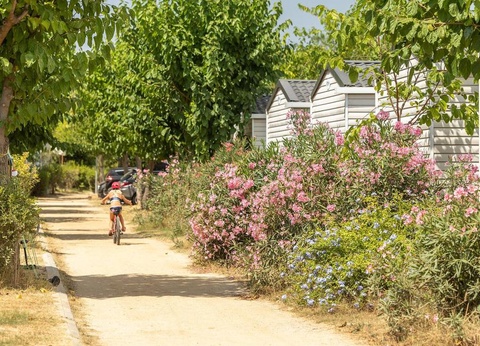 Camping El Pinar, 4* - 17