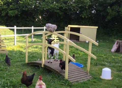 Camping Le Rivage, 4* - 42