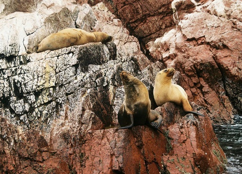 Circuit Sur la trace des Incas : de la Vallée Sacrée aux rivages de Paracas - 7