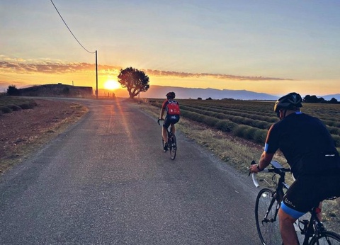 Camping Les Lavandes Valensole - 5