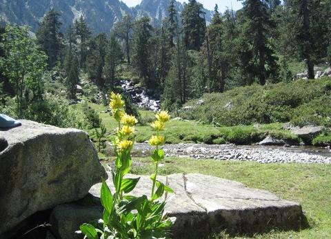 Camping du Lac, 4* - 73