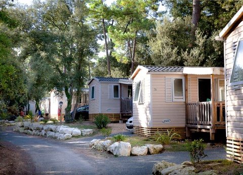 Camping Signol 5* - 33