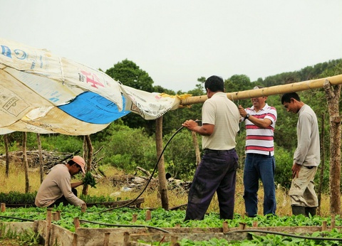 Du continent Amérindien aux îles volcaniques - 7