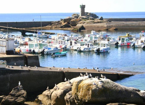 Flower Camping Domaine de Pendruc 4* - 61