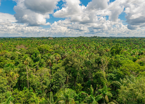 Circuit Equateur Authentique et Galapagos - 21