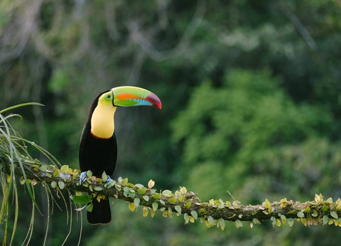 Circuit Le grand tour argentin : des Andes à la Terre de Feu - 11