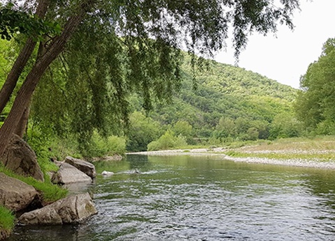 Camping Domaine de Gatinié, 2* - 9