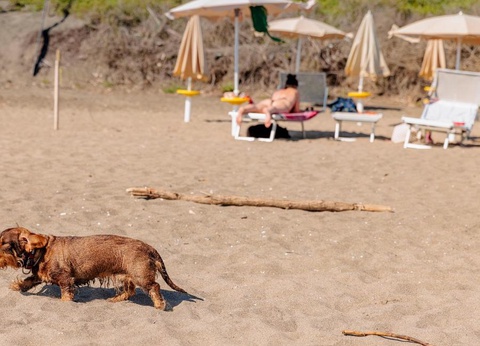 Gitavillage Club degli Amici - 8