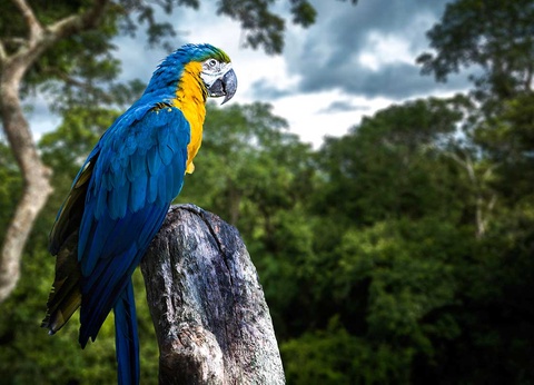 Circuit - Fabuleux Pérou - 15