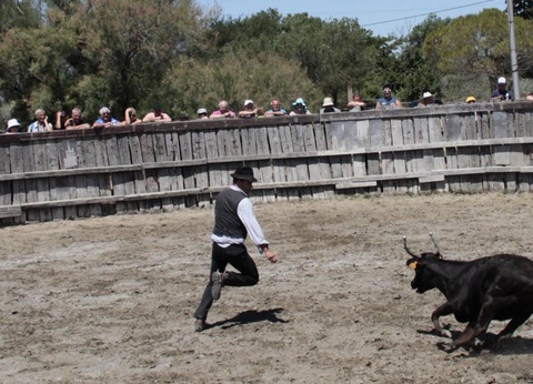 Camping Abri de Camargue, 4* - 83