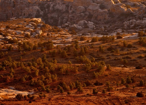Circuit Là où le temps s'arrête : Jordanie, entre cités et déserts - 4