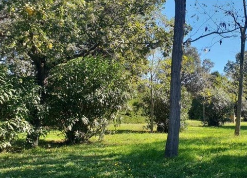 Camping 3 Estrellas Costa Brava - 32