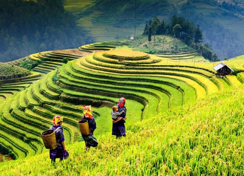 Circuit Privatif Trésors d'Asie - Vietnam, Laos & Thaïlande - 25