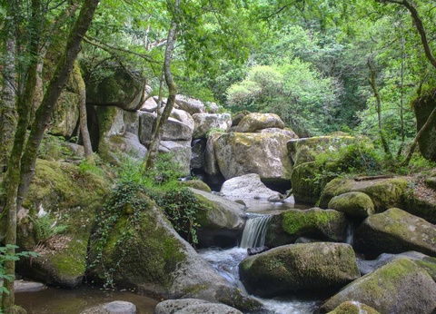 Camping L'Etang Aux Hirondelles, 1* - 12