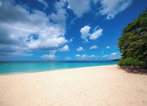 Hôtel Crystal Cove, A Tribute Portfolio All-inclusive Resort 4* - 49