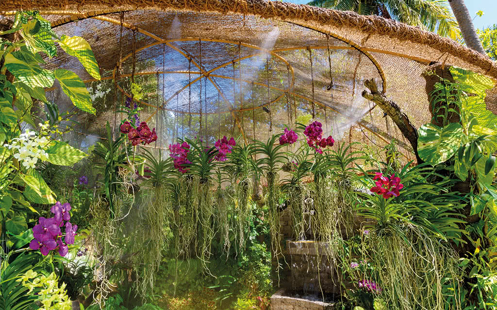 Hôtel Sheraton Maldives Resort Spa 5* - 12