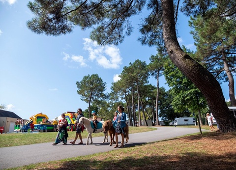 Camping Penn Mar 3* - 19